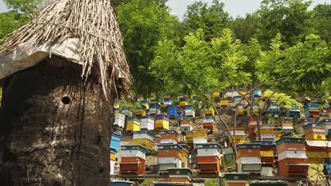 Reveal-shot-of-colourful-Bulgarian-beehive-on-apiculture-farm
