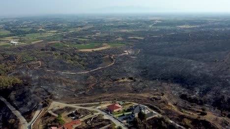 Aerial-of-vast-forest-area-below-a-small-village-that-was-destroyed-by-wildfires-in-northern-Greece,-August-2023