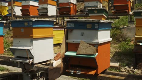 Reveal-shot-of-colourful-Bulgarian-beehive-on-apiculture-farm-on-hillside
