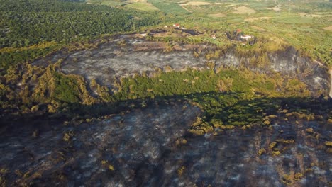 Aerial-pan-over-burnt-forest-that-was-destroyed-by-wildfires-in-northern-Greece,-August-2023