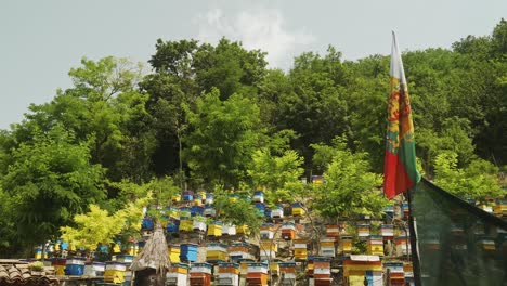National-flag-at-Bulgarian-apiculture-farm-with-colourful-beehives