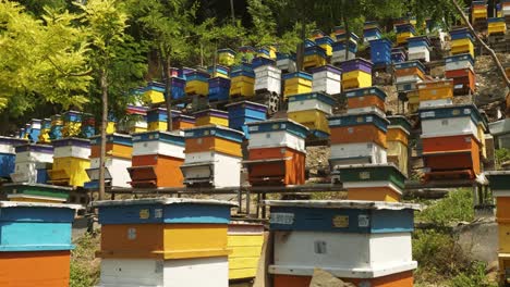 Hölzerne-Bienenstöcke-Im-Farbenfrohen-Terrassenförmig-Angelegten-Imkereigarten-Bulgarien