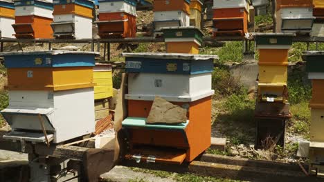 Pan-down-over-colourful-terraced-beehives-at-Bulgarian-honey-apiculture-farm
