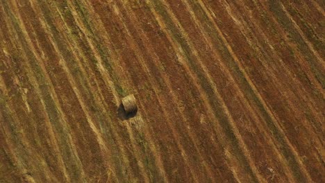 Drone-spins-over-agricultural-field-of-golden-hay-bales-summer-harvest