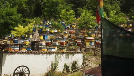 Beekeeping-in-Bulgarian-terraced-apiculture-farm-with-national-flag