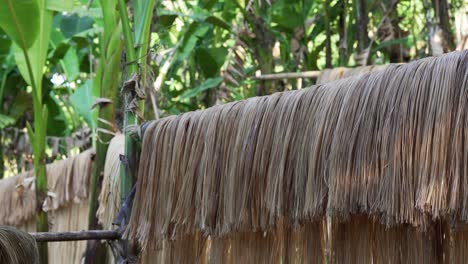 Static-shot-of-thick-abaca-bundle-fibers-hanging-to-dry-in-rainforests-of-Virac,-Catanduanes,-Philippines
