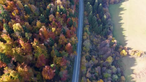 Drone-fly-over-scenic-road-in-colorful-forest,-road-trip-in-Slovenian-countryside