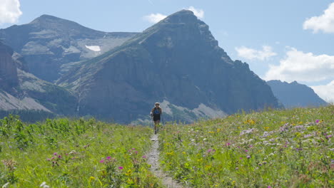Blonde-Female-Backpacker-with-Walking-Sticks-Hiking-in-Meadow-with-Mountains-in-Glacier-National-Park
