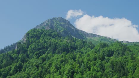 Berggipfel-Umgeben-Von-Dichtem-Wald-An-Einem-Sonnigen-Tag-Im-Kanton-Glarus-In-Der-Schweiz