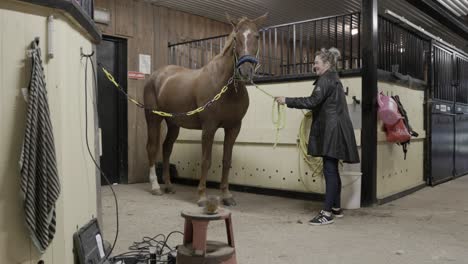 A-Caucasian-female-preparing-her-beautiful-horse-for-grooming-in-a-stable-in-Europe