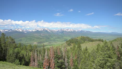 Mirando-Montañas-Nevadas-A-Través-De-Un-Valle-Verde-A-Través-Del-Claro-Del-Bosque-Durante-El-Día,-Panorámica