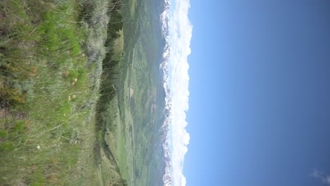 View-from-the-top-of-a-Colorado-hiking-trail-overlooking-a-green-valley-with-snowcapped-mountains,-vertical