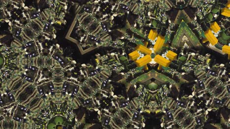 Analoges-Leiterplatten-Kaleidoskop-Mandala-Muster.-Animation