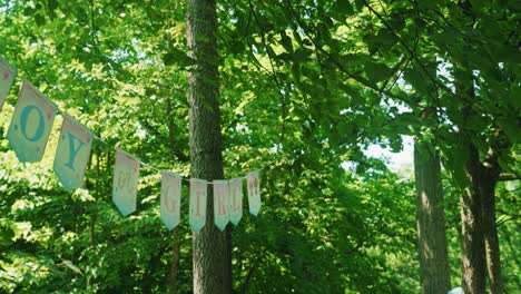 side-view-of-Boy-or-Girl-Letters-decorations-on-a-string-in-forest-at-gender-reveal-party-outside