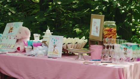 Pink-table-with-candies,-food-bar-at-gender-reveal-party-outside