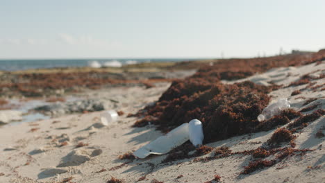 Plastikmüll-Und-Sargassum-Am-Strand-Von-Mexiko