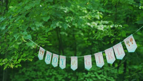 Boy-or-Girl-Letters-decorations-on-a-string-in-forest-at-gender-reveal-party-outside