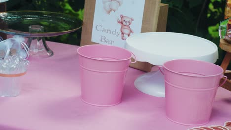 Candy-Bar-DYI-table-from-gender-reveal-party-outside