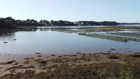 Oyster-park-in-Bretagne,-panoramic-view