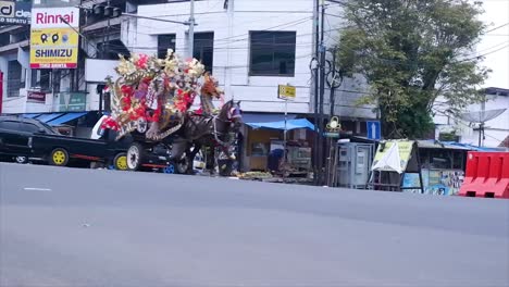 Andong-Ist-Ein-Typisches-Transportmittel-In-Der-Stadt