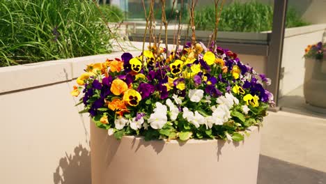 Push-in-shot-of-a-large-flower-pot-containing-an-array-of-colorful-flowers,-adding-vibrancy-to-the-surroundings