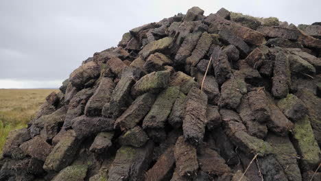 Pile-of-Peat-blocks-put-out-to-dry-on-Islay