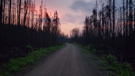 Viaje-Por-Una-Carretera-Desolada-Después-Del-Incendio-Forestal-Incendio-Forestal-Del-Lago-Kirkland,-Canadá