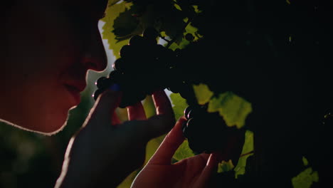 vineyard-girl-holds-a-red-grape-cluster-and-smells-it-slow-motion