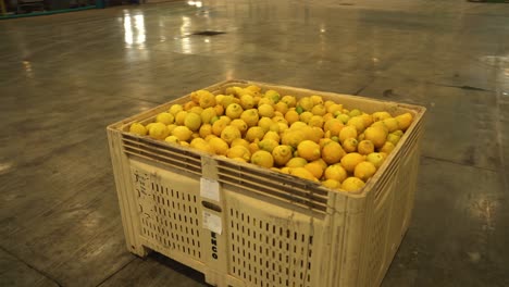 A-captivating-stock-footage-video-featuring-a-wooden-crate-filled-with-vibrant-and-freshly-harvested-lemons