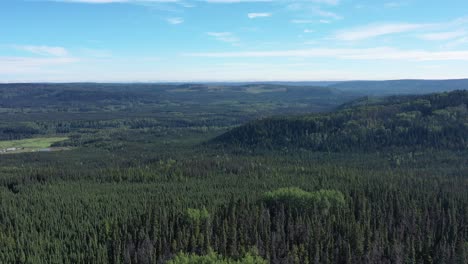 Die-Drohne-Fängt-Eine-Atemberaubende-Luftaufnahme-Des-Alaska-Highway-Im-Borealen-Wald-Ein