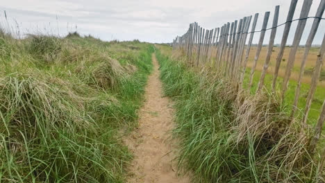 Sandy-country-path-surrounded-by-grass,-sand-dunes-and-a-old-wooden-fence