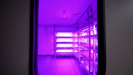 Indoor-view-through-a-window-door,-growing-vegetables-on-aluminium-plates-with-UV-light
