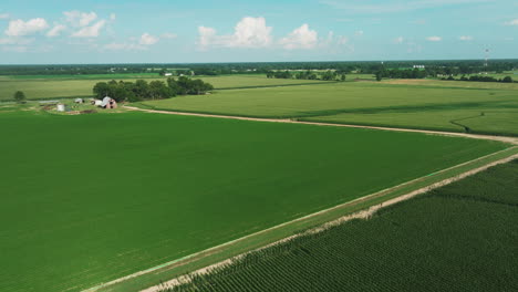 Cornfield-aerial-drone-view,-flyover-green-vast-countryside-landscape,-USA