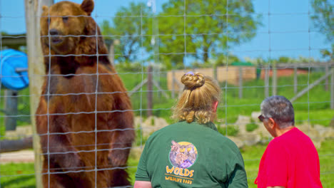 Touristen-Besuchen-Einen-Zoo-Im-Vereinigten-Königreich-Und-Nehmen-An-Der-Bärenfütterung-Teil
