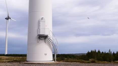 Shot-of-the-base-of-a-wind-turbine-on-a-wind-farm-with-a-seagull-flying