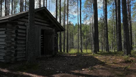 Wooden-shed-in-forest,-traditional-storage-house-for-firewood,-Finland