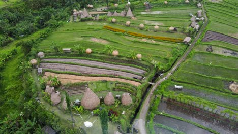 Aerial-:-Maha-gannga-valley-in-Bali-Indonesia,-a-Camp-ground-glamping-agrotourism-Inn-featuring-Eco-Huts,-mountain-views-to-agung-volcano,-Rice-Terraces,-Palm-Tree-Jungles,-Waterfal-and-photo-spots