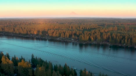Golden-hour-light-across-pine-tree-forest-and-lakeside-homes-in-washington,-mt-rainier-in-distance