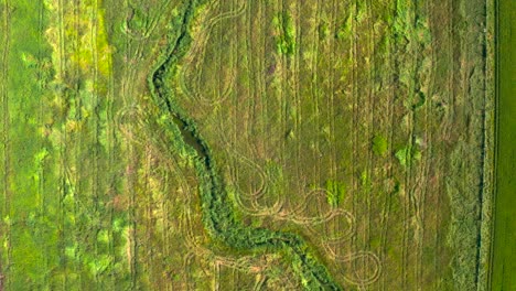 Drone-bird's-eye-view-above-tractor-tracks-winding-river-cuts-through-field,-vibrant-agriculture