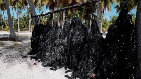 Tahitian-black-pearl-farming-nets