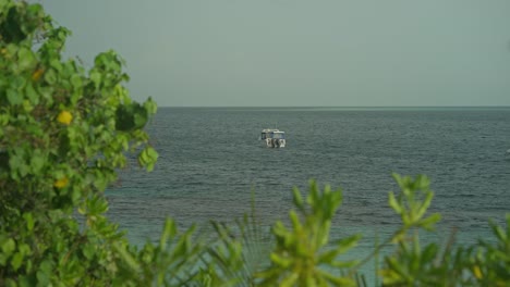 Distant-boat-floating-in-water-with-tropical-green-plants-in-foreground