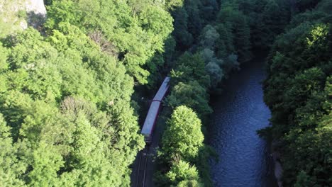 Train-passing-in-between-trees-next-to-a-river-on-the-outskirts,-aerial-shot
