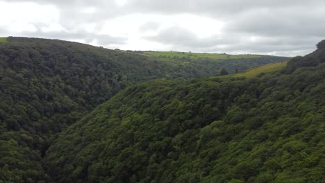 Aerial-Drone-Over-Tree-Covered-Valley-with-Dark-Clouds