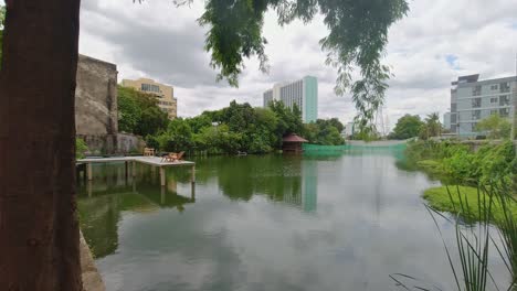 Vista-Panorámica-De-Un-Lago-En-Una-Cafetería-En-La-Ciudad-De-Bangkok,-Tailandia,-Junto-A-Un-árbol-Con-Un-Entorno-Verde