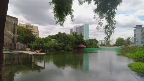 Hermoso-Paisaje-Verde-En-Un-Lago-En-La-Ciudad-De-Bangkok,-Tailandia