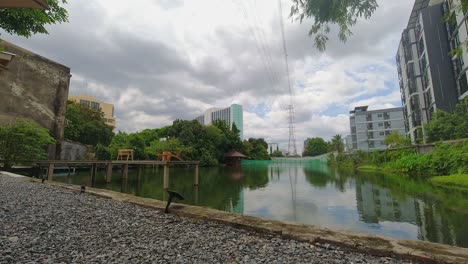 Timelapse-of-a-Beautiful-Lake-at-a-Coffee-Shop-in-the-City-of-Bangkok-with-Sweeping-Clouds-Over-the-Water-Surrounded-by-Nature-and-Apartment-Buildings