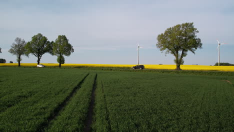 Luftaufnahme-über-üppige-Grüne-Feldfrüchte-In-Richtung-Gelbes-Rapsfeld-Mit-Windkraftanlagen
