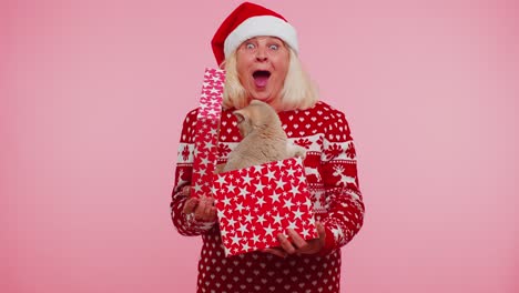 Großmutter-Im-Weihnachtspullover-Lächelt,-Packt-Geschenk-Aus,-öffnet-Schachtel-Mit-Hauskatze,-Tolle-Überraschung