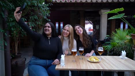 Fröhliche-Freundinnen-Machen-Selfie-In-Der-Bar