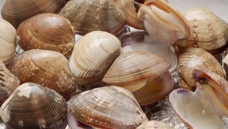 Cooking-clams-in-boiling-water